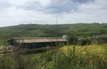 Fabbricato Rurale In Asta GARAGUSO CONTRADA PARATA
